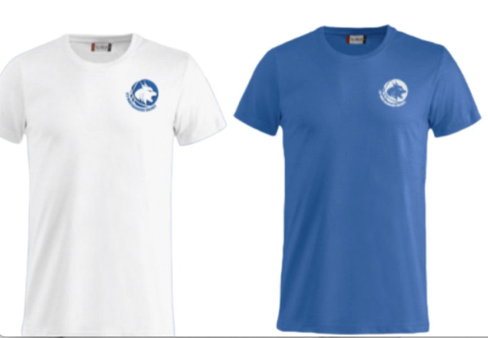 Tee-shirt coton