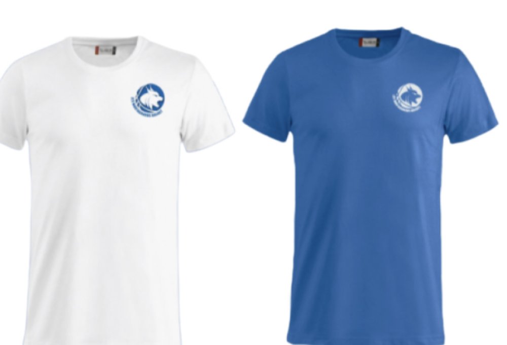 Tee-shirt coton junior